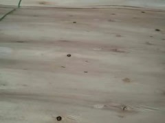 南宁红丰桉木单板木皮供应图2