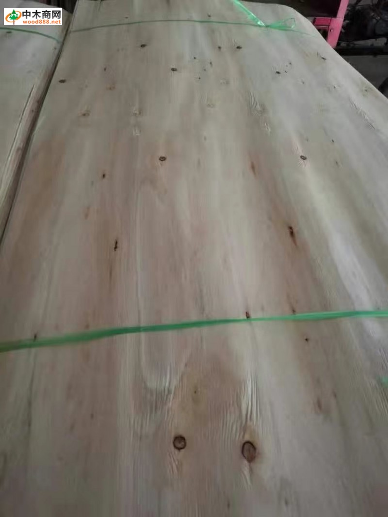 优质单板木皮供应