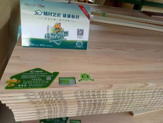中国板材国内品牌浅析环保板材在现代生活中的运用