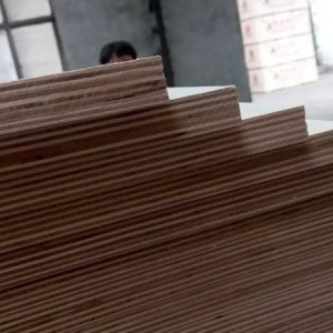 山东杨桉芯胶合板多层家具板批发厂家直销图1