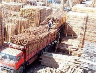 拉萨市区木材市场集中迁入达孜工业园拉萨城投木材交易市场