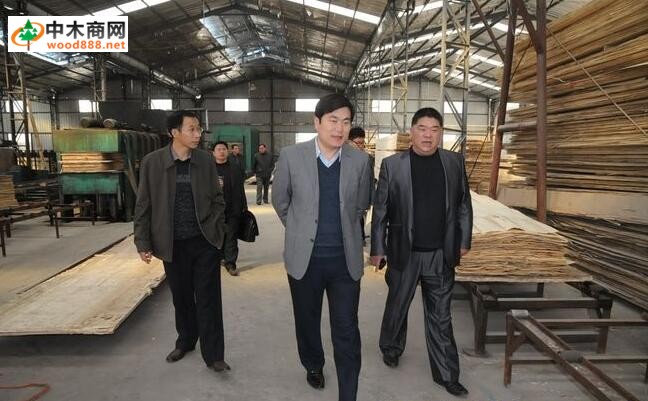 中国国内木材产业园巡视