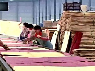 实拍中国工厂，胶合板生产全过程