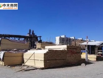 西藏最大！拉萨城投木材交易市场将迎300余户商家入驻