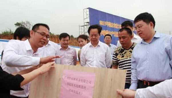 广西桂福林木业年产4万立方木地板项目举行开工仪式