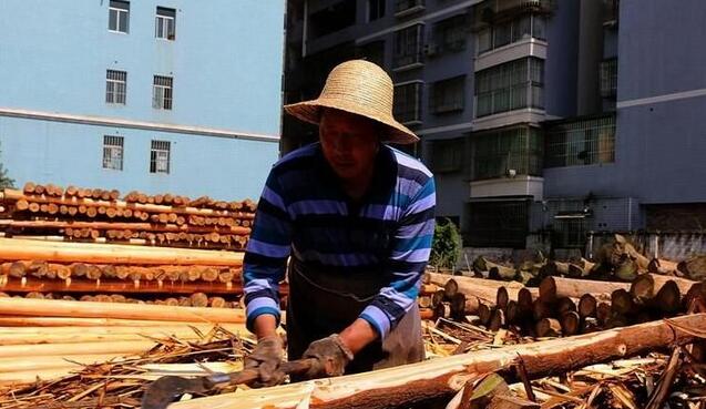 澄溪镇渝东木材已成为渝东地区比较大木材经营市场