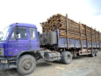 西藏达孜新木材交易市场 已有180多户商户入驻