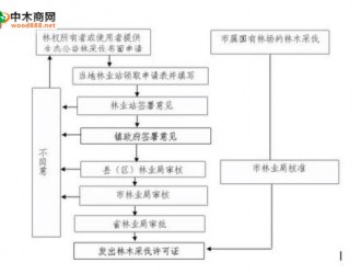 自己砍伐木材，运输：请问需要办手续嘛，要办哪些手续?好不好办?