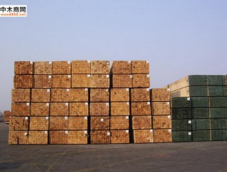 上海木材进出口企业培训座谈会召开