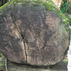 缅甸花梨3米长