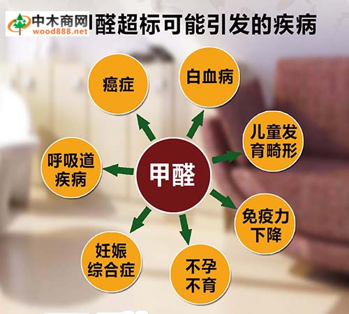 乱象丛生的中国板材市场：百的宝板材始终坚守底线