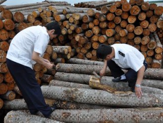 浙江省红木产业协会组织木材检验技能实际操作考试