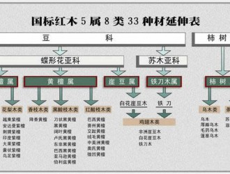 红木国标五属八类详细介绍