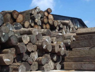 拉萨市木材交易市场工程东区招标公告