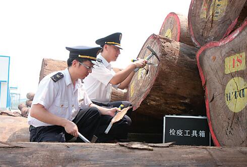 提醒：张家港木材检疫比较新规定将影响供求双方