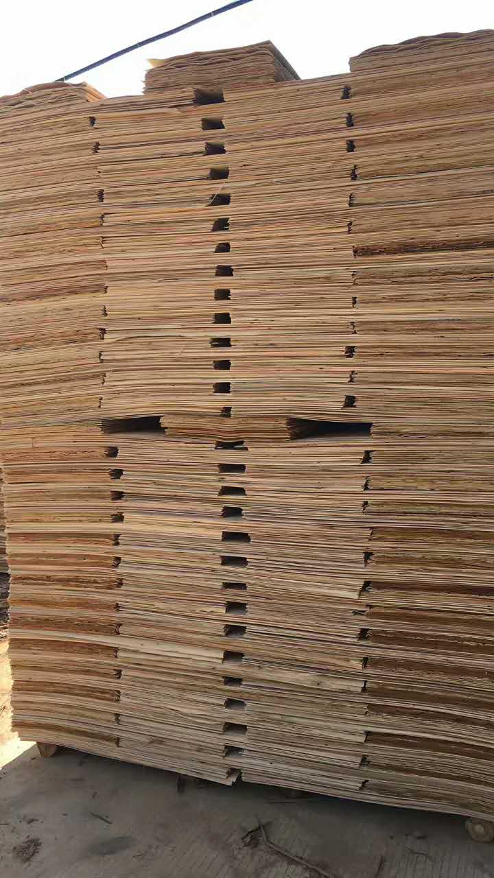 福建桉木板皮