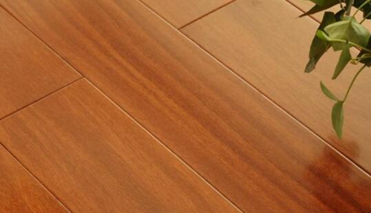 强化木地板和实木地板有什么区别