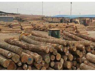 木材市场分析 淡季氛围持续深入 代表品价格表现低迷