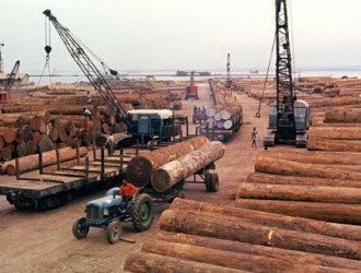 港口木材到货量减少,木材或迎来新一轮涨价