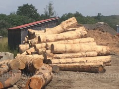 木业专人验货进口美国北部红橡原木旋皮材 美式家居材图2