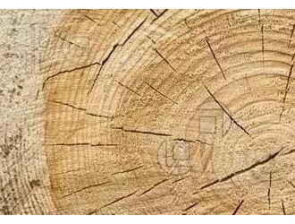 木材加工知识：木材干燥与应力