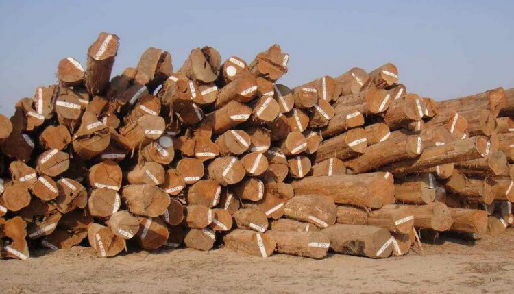 河南长葛市大阳木业有限公司污染严重遭举报