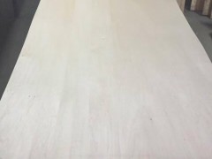 椴木单板 胶合板椴木木皮图3