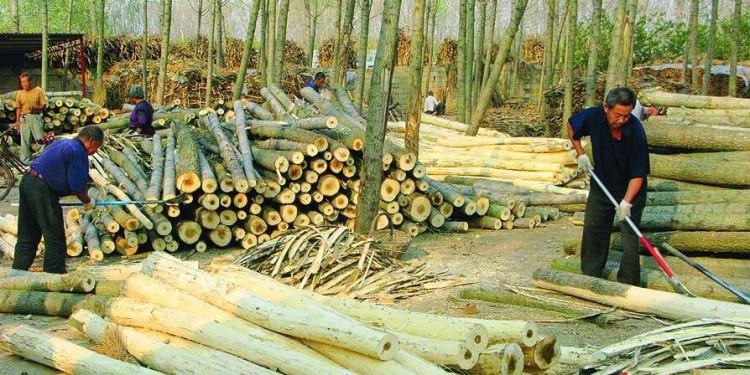 重庆璧山正兴镇：木材加工企业整治初见成效