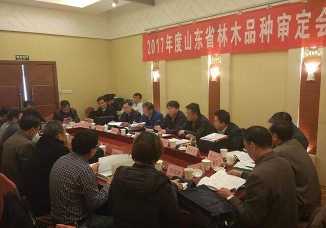 2017年度山东省林木品种审定会召开