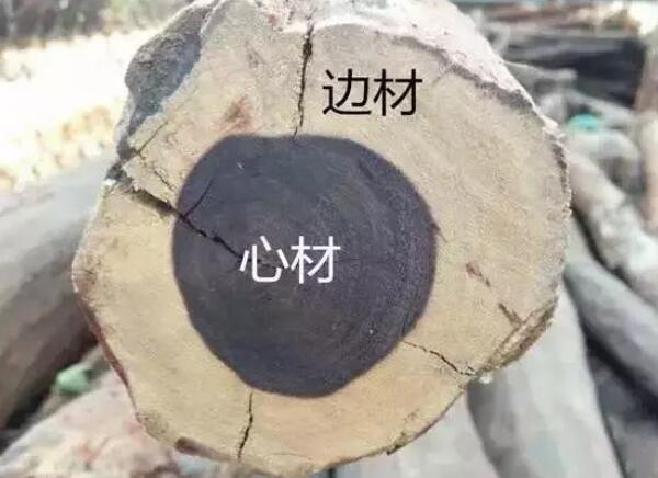 别在纠结紫檀好还是黄花梨贵了：“红木器具价值排行榜“”送给你