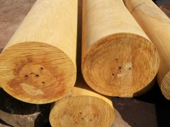 巴蒂木木方|湖南巴蒂木方木|巴蒂木方木厂家图3