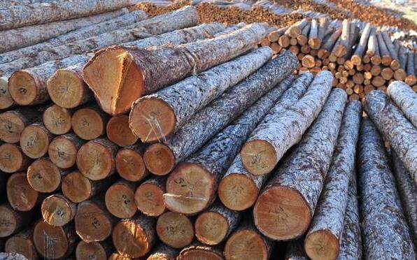内蒙古扎兰屯市安监局对木材加工业进行检查