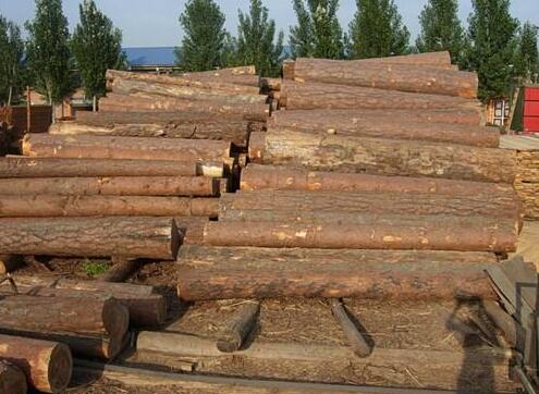 木业人必看：各国木材禁令对中国进口木材市场的影响