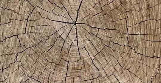 老榆木实木家具开裂怎么办？为什么会开裂？如何维修处理？