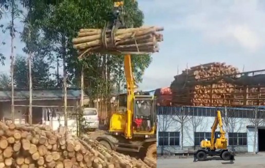 南宁抓木机-宝鼎95抓木机装卸木材视频介绍