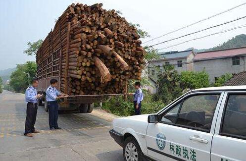 四川通江县开展春季木材运输集中巡查专项行动