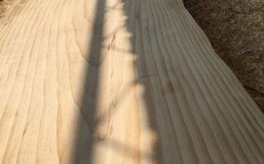 精品辐射松家具材 烘干 自然宽 实木木板定做图2