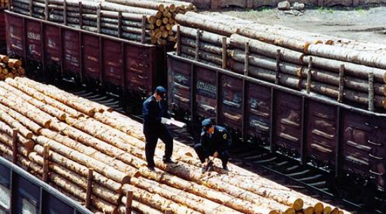 一季度绥芬河口岸木材进口179万吨,同比增长2.2%