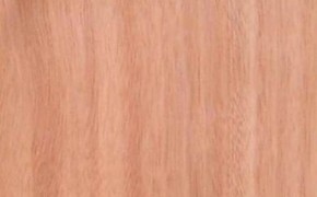 所罗门耐腐柳桉木景观材与马来巴劳木材料价是多少