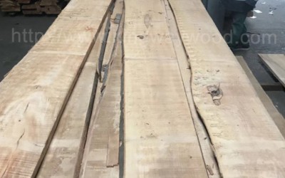 进口榉木毛边板 实木B级 26/32mm 地板木料批发