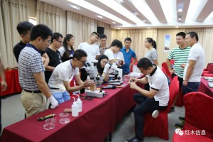 今年开始：湖南省将有12名具有国家（二级） 高级木材检验师资质人员持证上岗