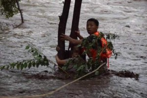 北京暴雨致车辆熄火 车内女子紧抱大树等待救援