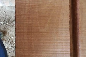 南美《紅檀香》木板材的特征及用途