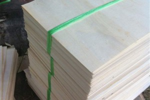 白杨木刨切单板木皮图3