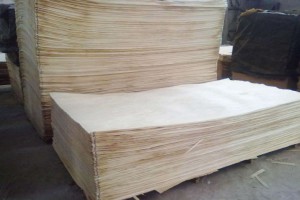 白杨木刨切单板木皮图片