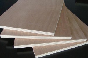 徐州强福木业年产2.5万方胶合板项目环评获批