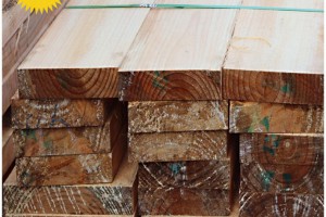 批发辐射松建筑木方 辐射松工程木方 厂家低价出售新西兰辐射松图2