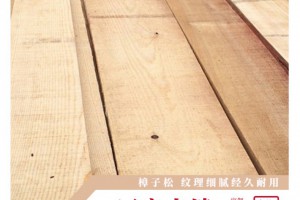 樟子松板材 樟子松木方 防腐木板 家具烘干材 樟子松桑拿板