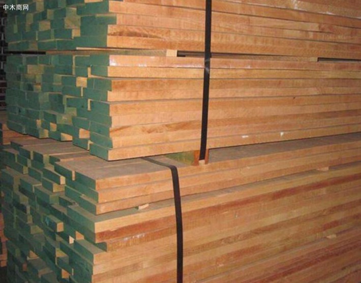 林业专项排查和木材加工经营企业