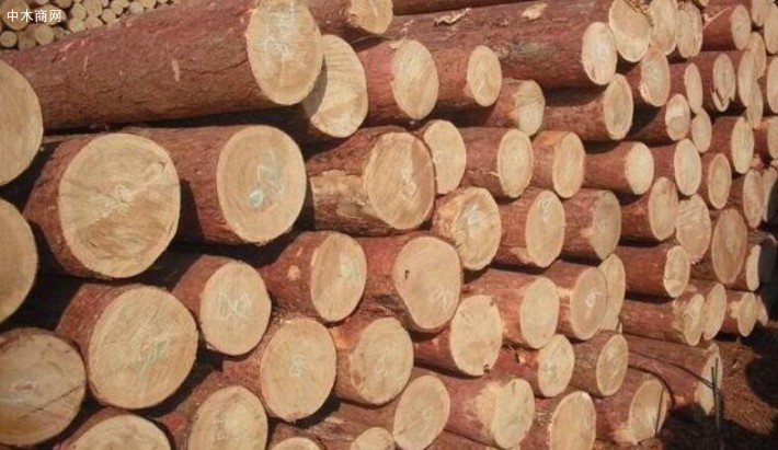 木材经营加工企业扫黑除恶工作推进会议为契机